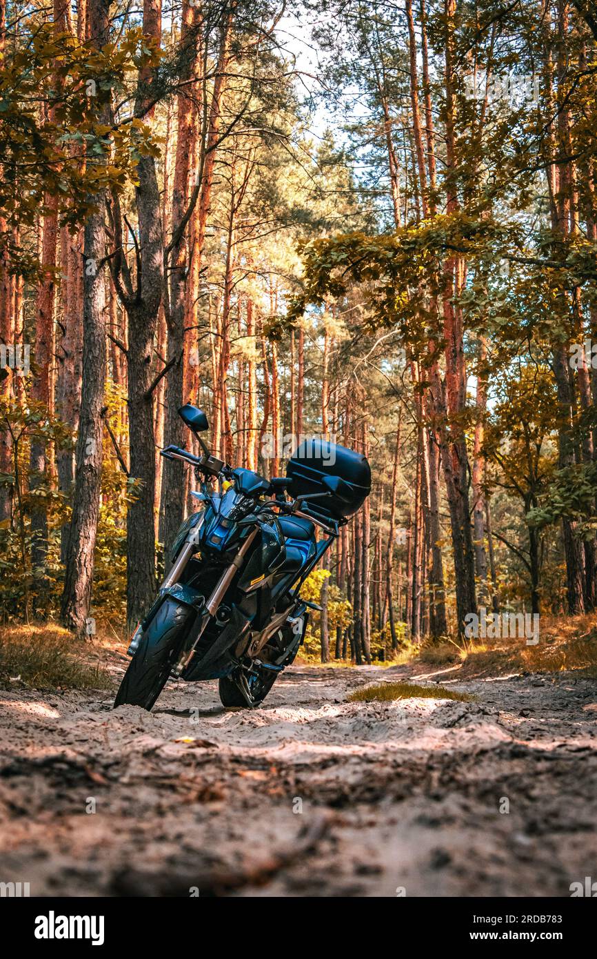 Moto nella foresta su strada sterrata Foto Stock