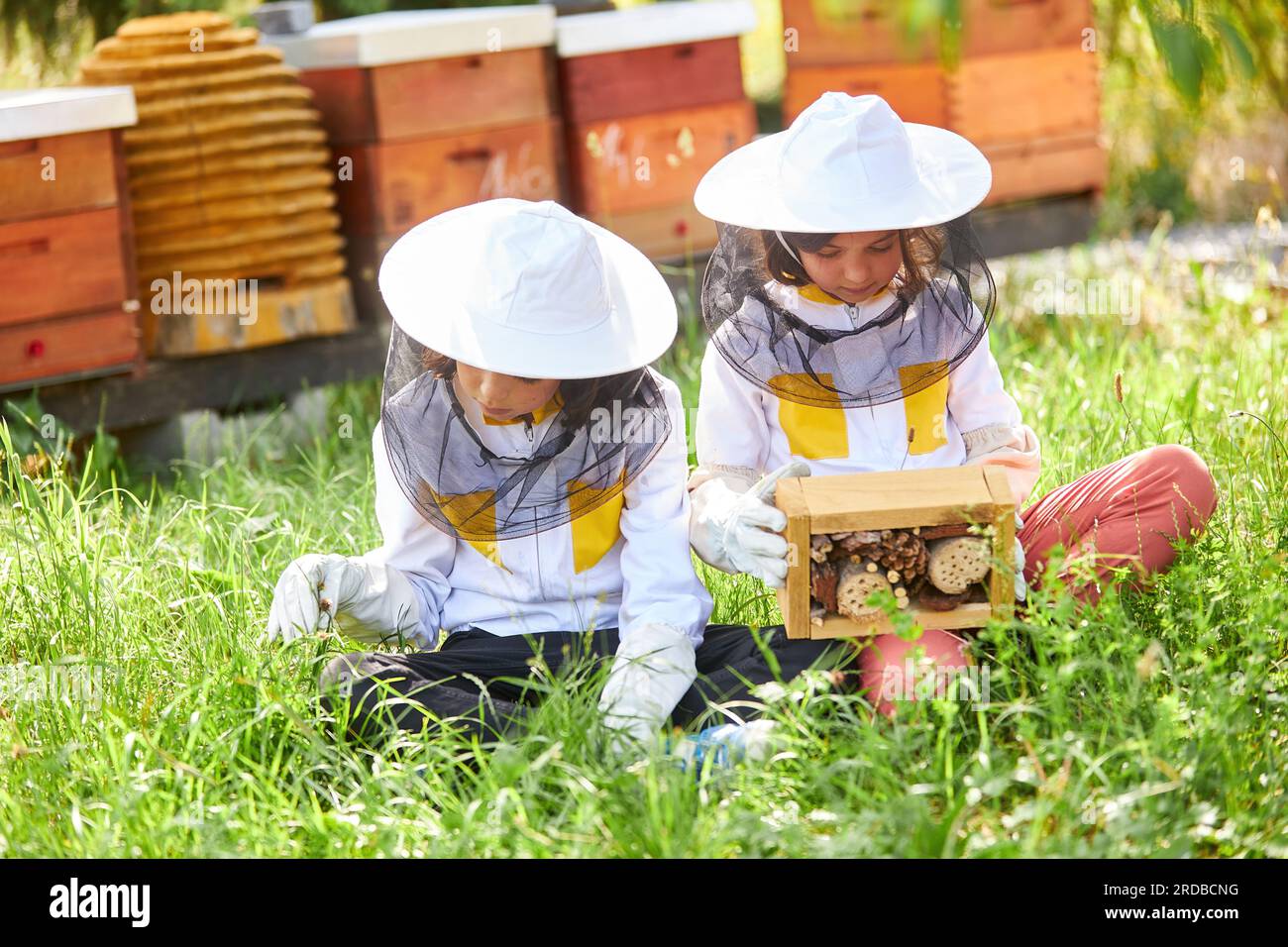 Ragazze che indossano abiti protettivi sedute con un hotel di insetti di legno sull'erba presso la fattoria degli apiari Foto Stock