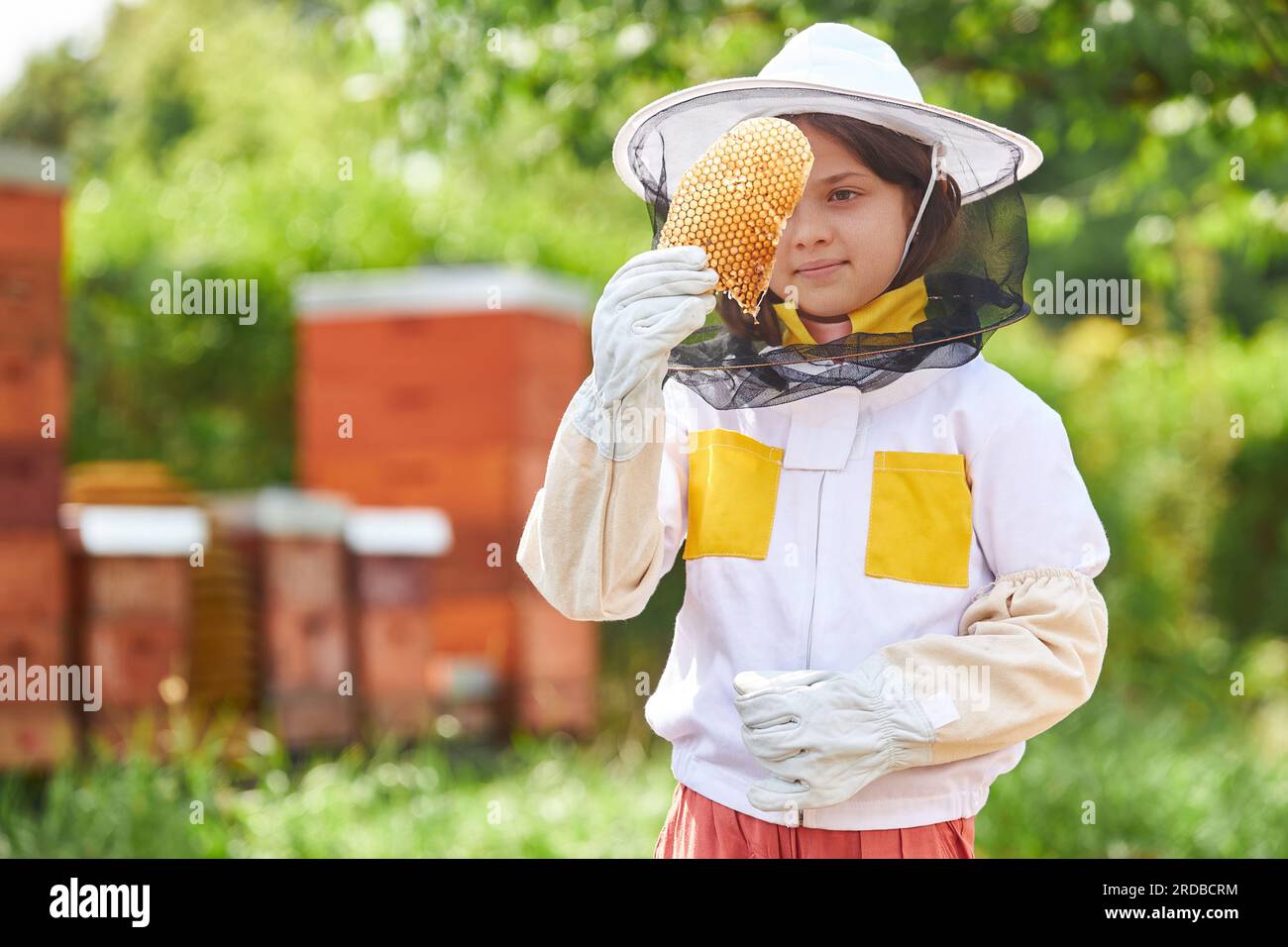 Ragazza che analizza la cera d'api organica e indossa tuta protettiva nel giardino degli apiari in estate Foto Stock