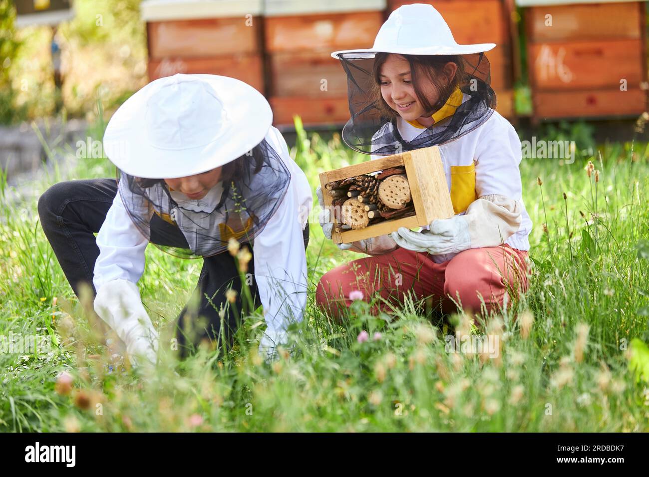 Ragazze sorridenti che indossano abiti protettivi accovacciati con un hotel di insetti di legno sull'erba presso la fattoria degli apiari Foto Stock