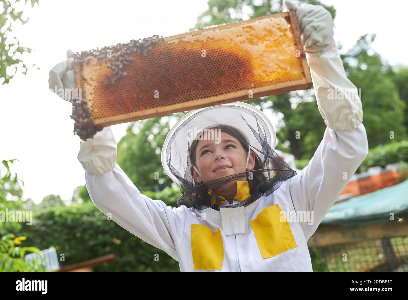 Ragazza felice che esamina la cornice dell'alveare con le api mellifere nel giardino degli apiari Foto Stock