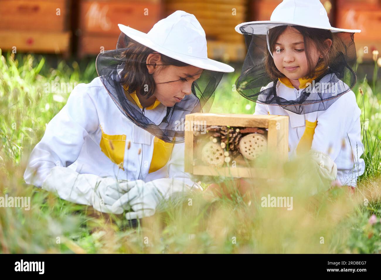 Ragazze che indossano tute protettive che analizzano l'hotel di insetti di legno sull'erba della fattoria degli apiari Foto Stock