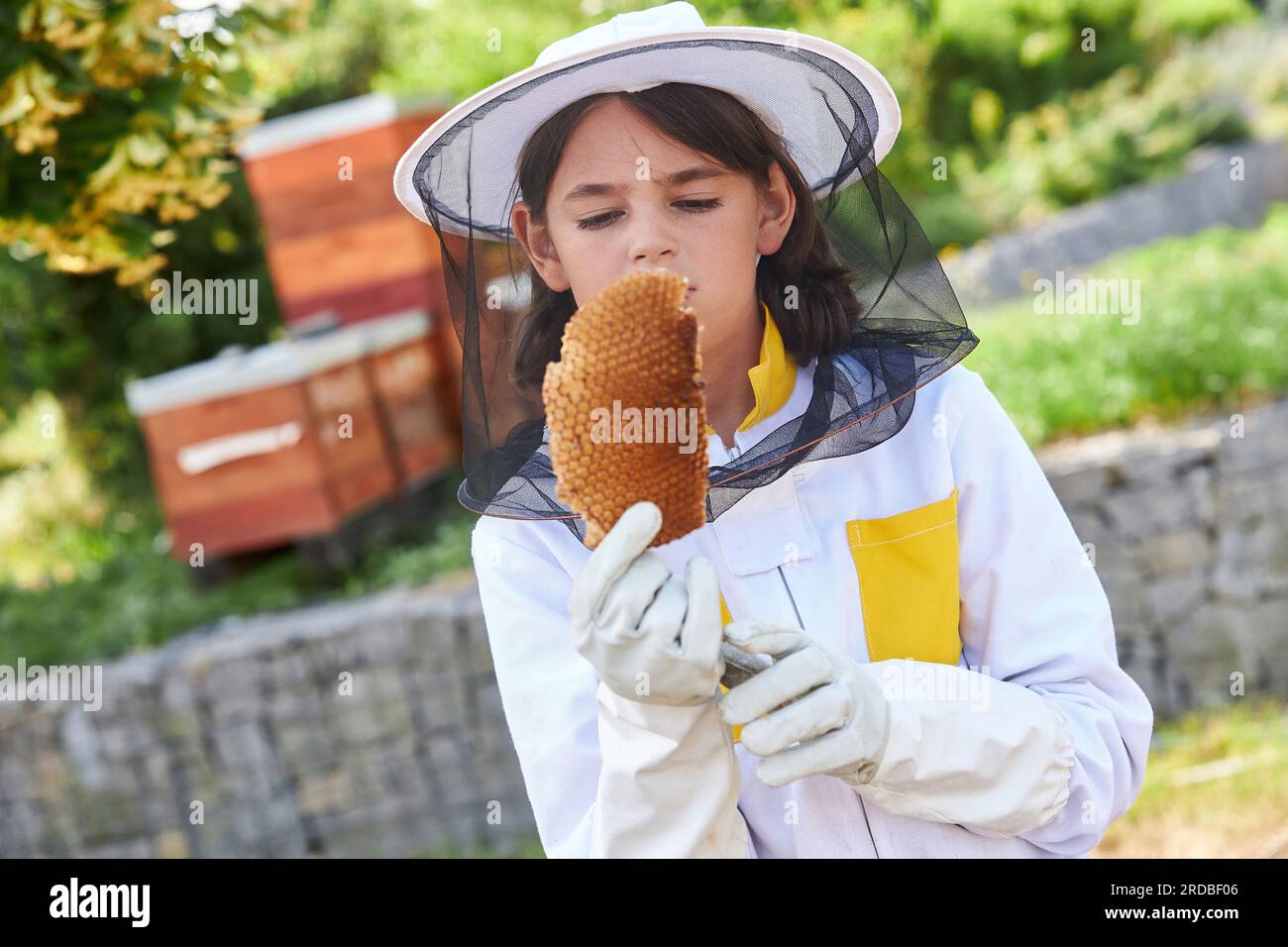 Ragazza che analizza la cera d'api e indossa tuta protettiva nel giardino degli apiari durante l'estate Foto Stock