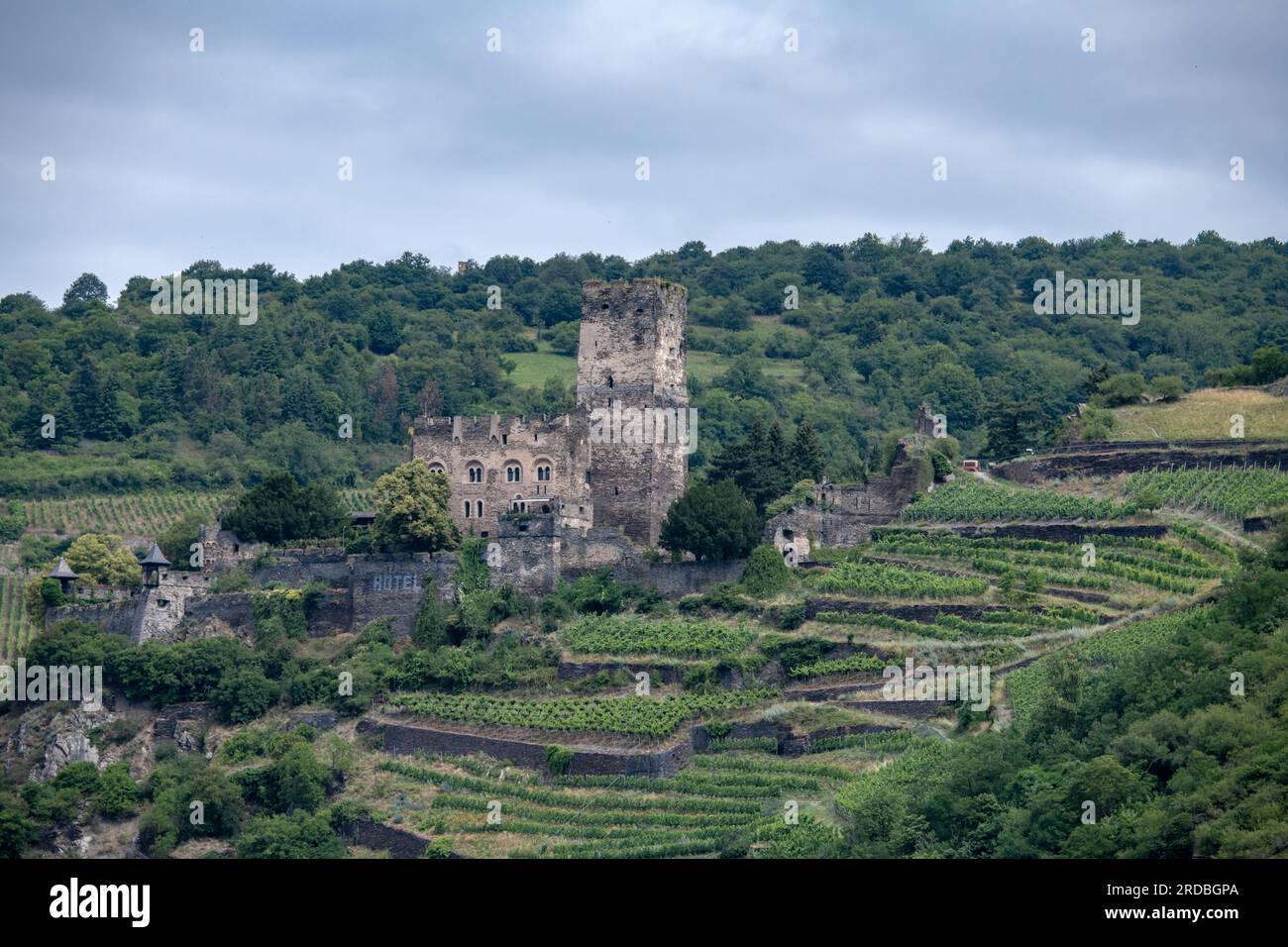 Castello di Gutenfels dal fiume Reno in Germania Foto Stock