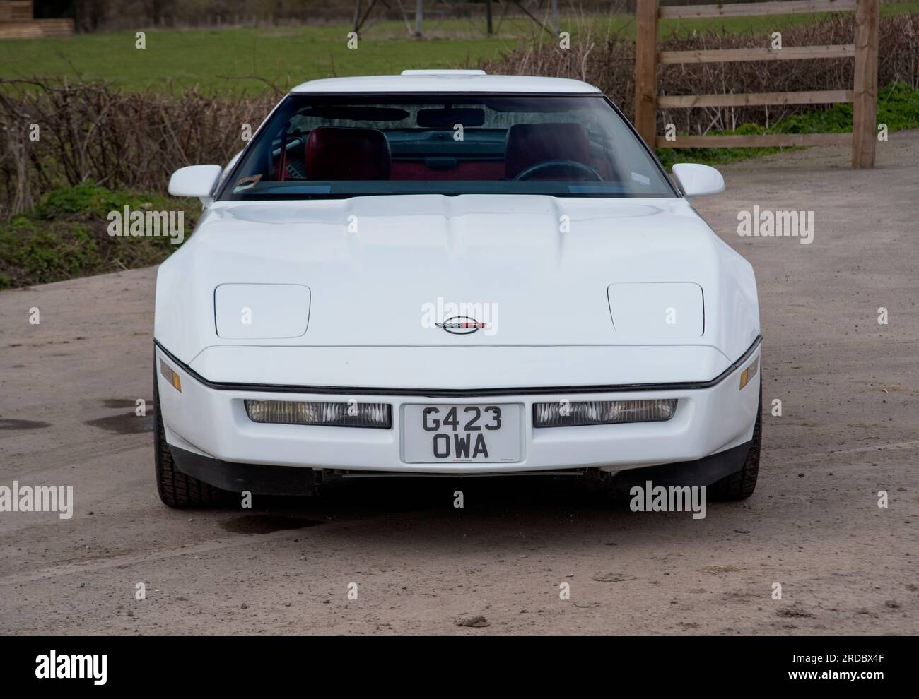 1989 C4 Corvette, auto sportiva V8 americana Foto Stock