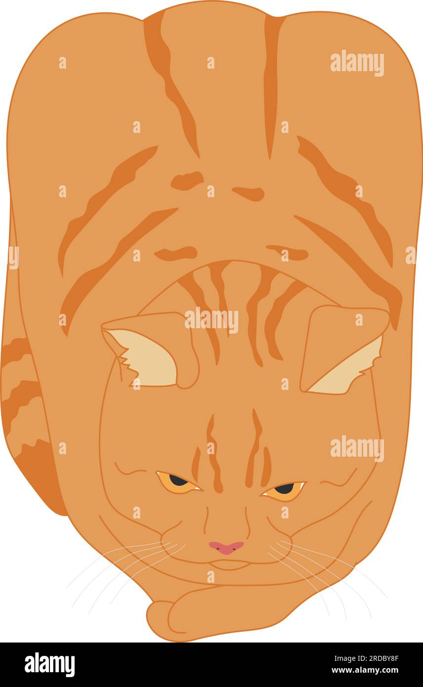 Gatto disegnato a mano in posa a forma di pane isolato su uno sfondo bianco. Il gatto di zenzero sembra una pagnotta di pane. Red Tabby Cat. Illustrazione vettoriale Illustrazione Vettoriale