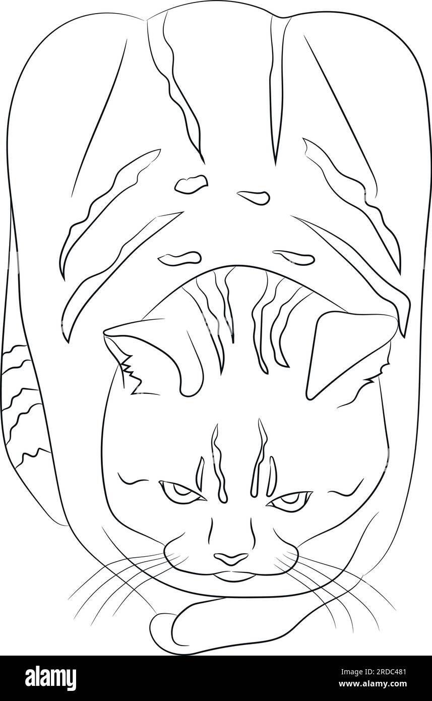 Gatto disegnato a mano in posa a forma di pane isolato su uno sfondo bianco. Un gatto carino sembra una pagnotta di pane. Linea di contorno nera vuota isolata su bianco Illustrazione Vettoriale