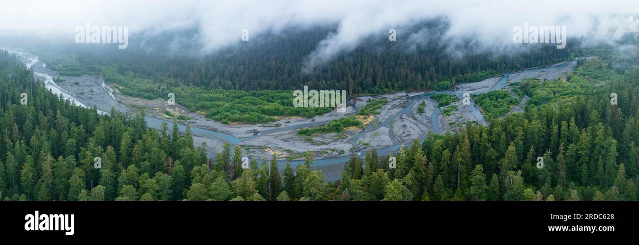 Situato sulla penisola Olimpica, il panoramico fiume Hoh scorre attraverso una delle più grandi e umide foreste pluviali temperate degli Stati Uniti Foto Stock