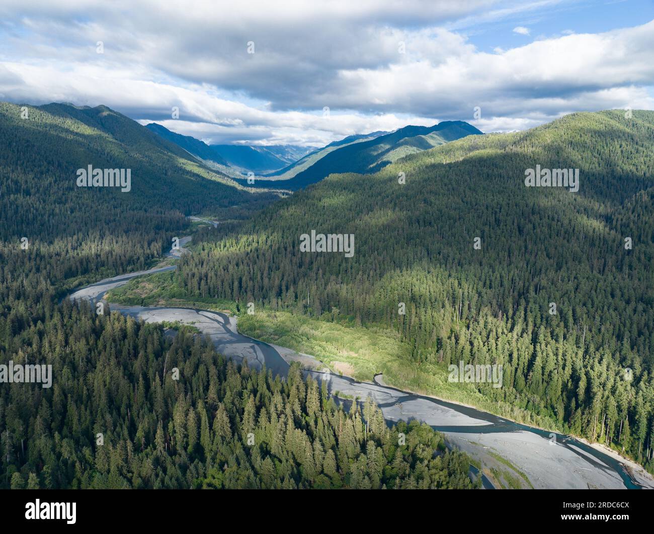 Situato sulla penisola Olimpica, il panoramico fiume Hoh scorre attraverso una delle più grandi e umide foreste pluviali temperate degli Stati Uniti Foto Stock