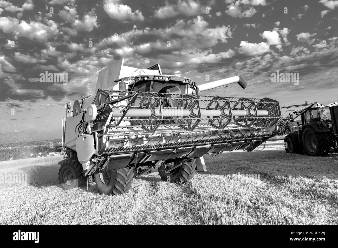 La raccolta di grano si combina in estate su un campo di mais con cielo blu Foto Stock