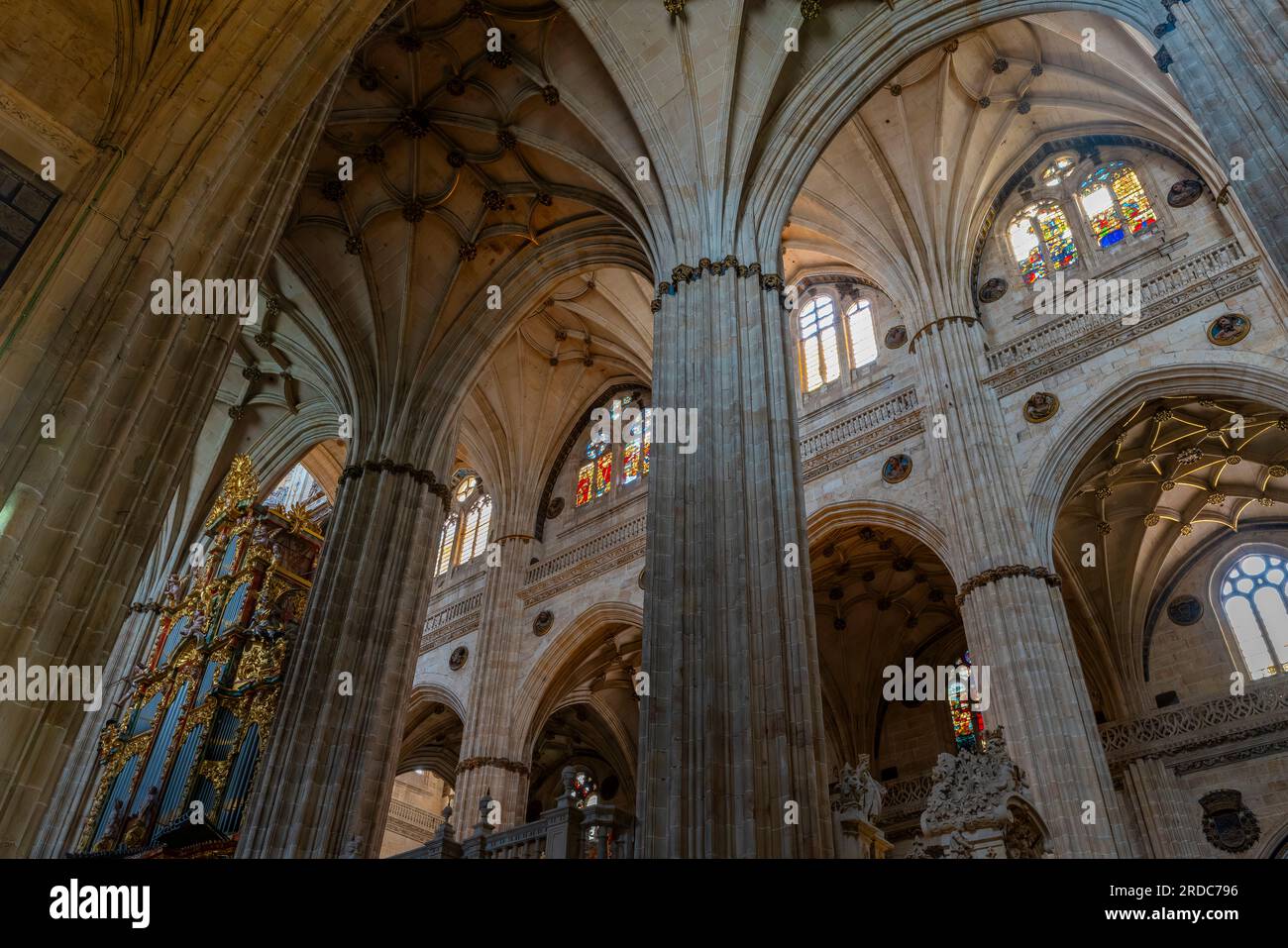 Interno della nuova cattedra, costruita durante il XVI secolo in stile tardo gotico e rinascimentale, chiamata anche stile plateresco. Salamanca, Spagna. Foto Stock