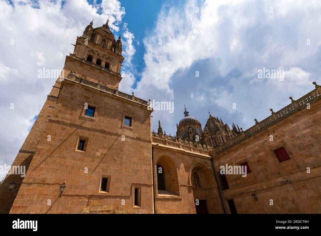 Vecchia cattedrale romanica e nuova cattedrale costruita durante il XVI secolo in stile rinascimentale, chiamata anche stile plateresco. Salamanca, Spagna. Foto Stock