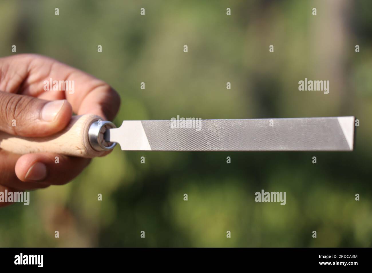 Lima piatta in acciaio tenuta in mano con un manico in legno. Lima piatta in ferro per lavorare con legno e altri materiali con vista della forma della lima Foto Stock