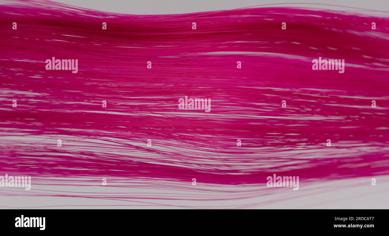 Lunghi capelli sintetici rosa isolati su sfondo bianco dello studio Foto Stock