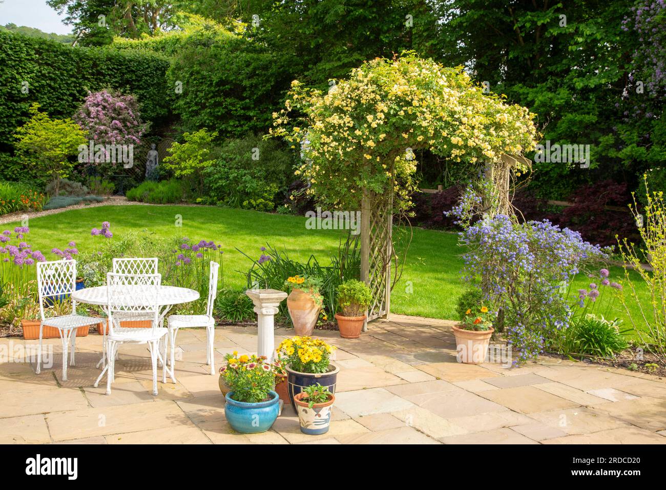 Tavolo da giardino e sedie besdideRosa senza fiato Lady Banks Rose che sale su un arco da giardino con Ceanothus Concha blu a destra. Foto Stock