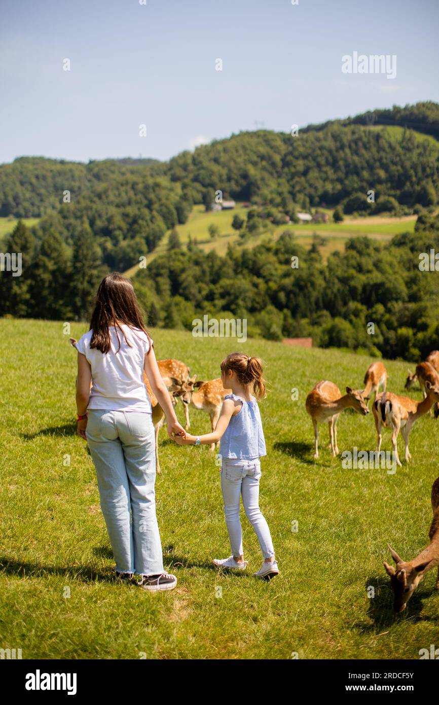 Due graziose bambine che camminano tra le mandrie di renne nella giornata di sole Foto Stock