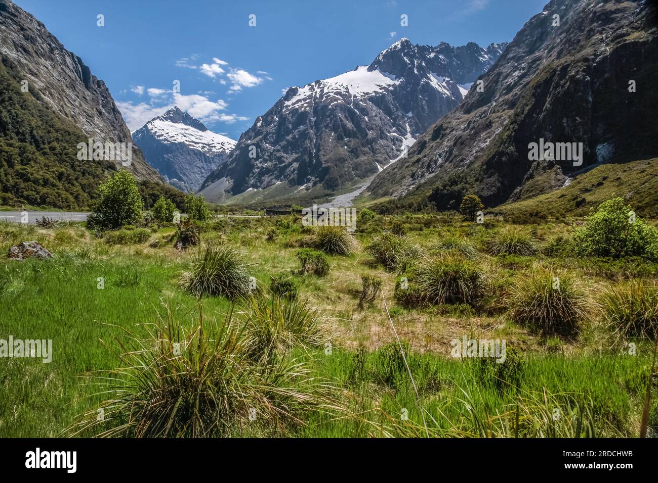 Geografia / viaggi, nuova Zelanda, Southland, catena montuosa a Milford Road, Southland, ULTERIORI-DIRITTI-CLEARANCE-INFO-NOT-AVAILABLE Foto Stock