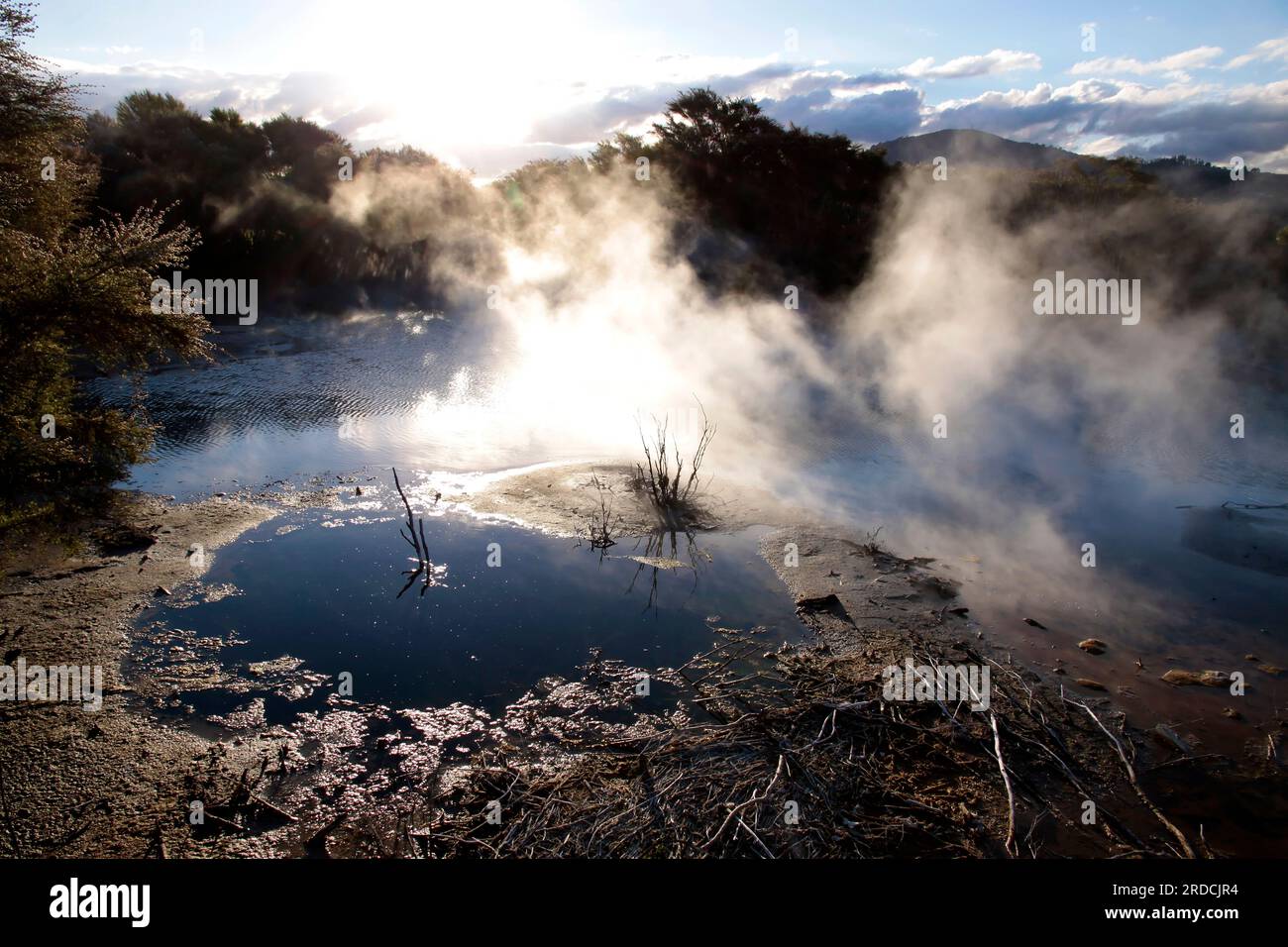 Geografia / viaggi, nuova Zelanda, Bay of Plenty, Rotorua, fervente primavera nel Parco Kuirau, ULTERIORI-DIRITTI-CLEARANCE-INFO-NOT-AVAILABLE Foto Stock