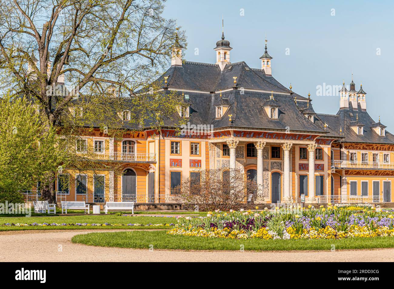 Wasserpalais al castello di Pillnitz vicino a Dresda in Germania con fiori primaverili Foto Stock