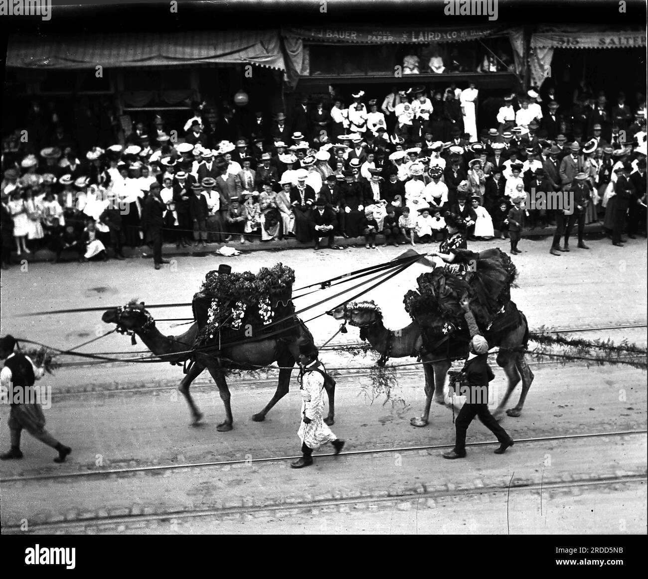 1906 22 maggio, Fiesta de la Flora, 5th Street e Spring St Foto Stock