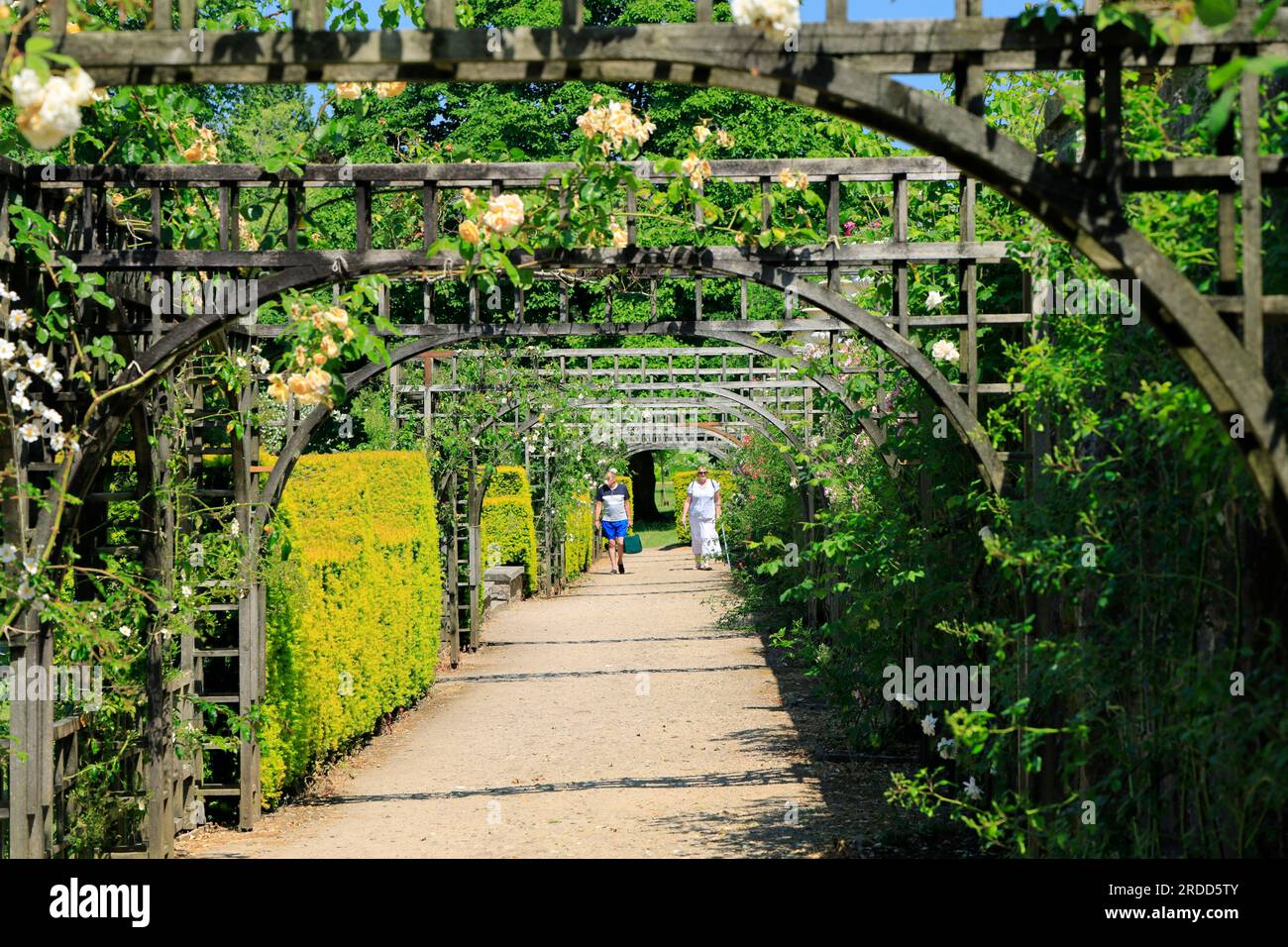 Rose Trellis, Gardens, St Fagans National Museum of History/Amgueddfa Werin Cymru, Cardiff, Galles del Sud, Regno Unito. Foto Stock