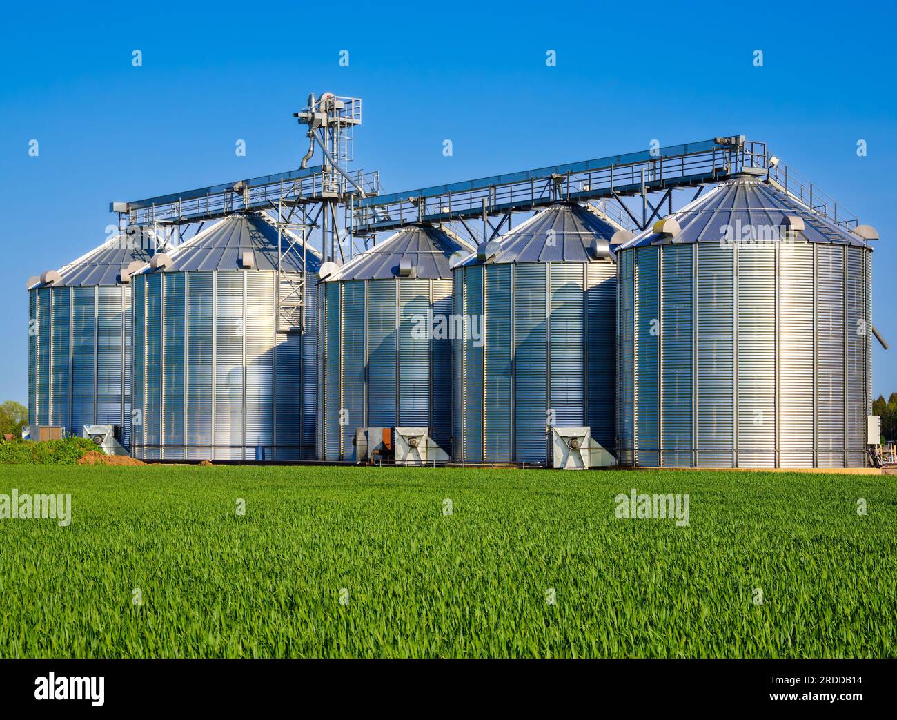 Silos agricoli in acciaio vicino a Motala, Svezia, per lo stoccaggio e l'essiccazione di cereali, frumento, mais, soia, girasole Foto Stock