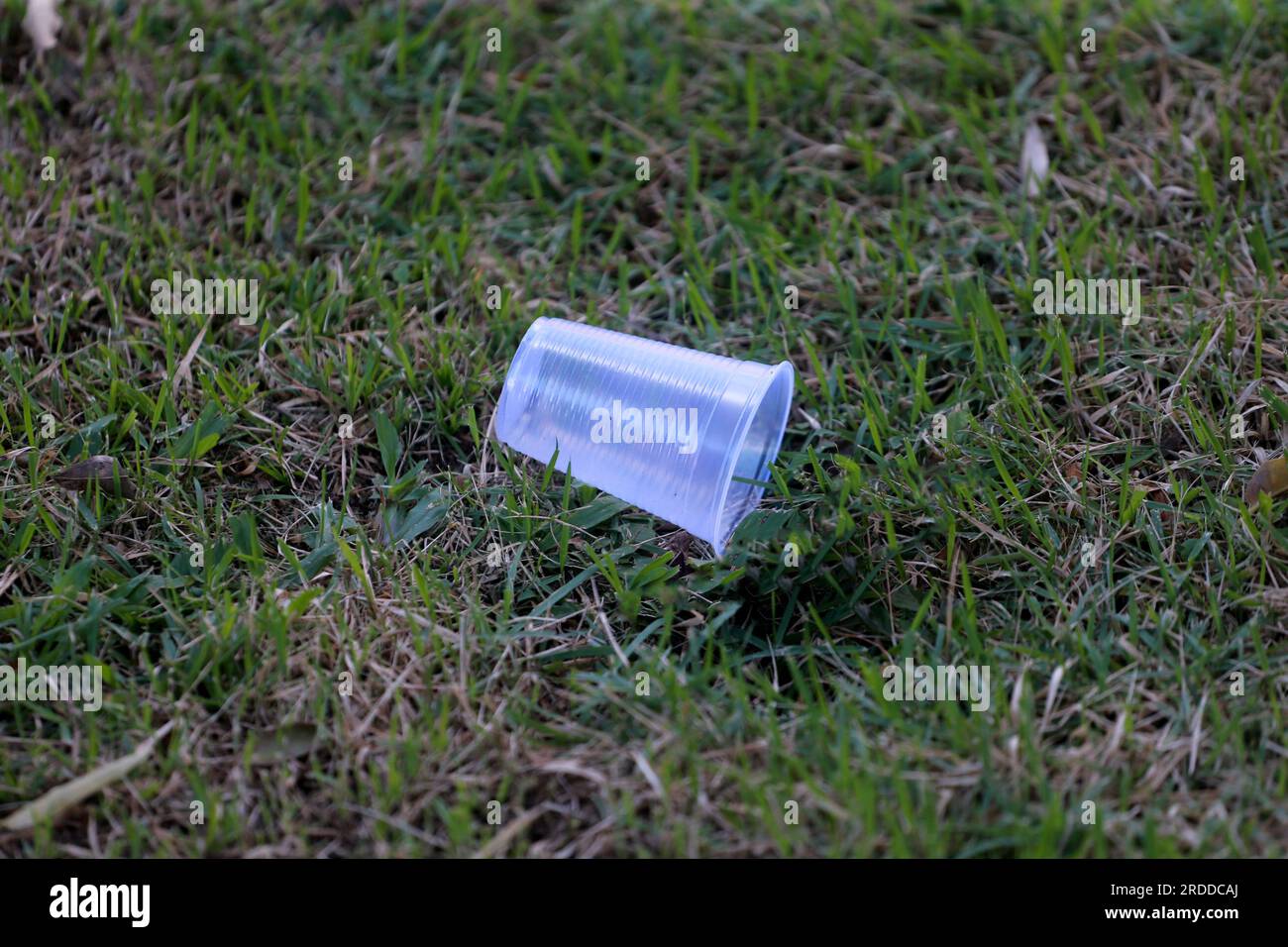 cruz das alma, bahia, brasile - 17 luglio 2023: Tazza di plastica usa e getta vista sdraiata sull'erba in un parco. Foto Stock