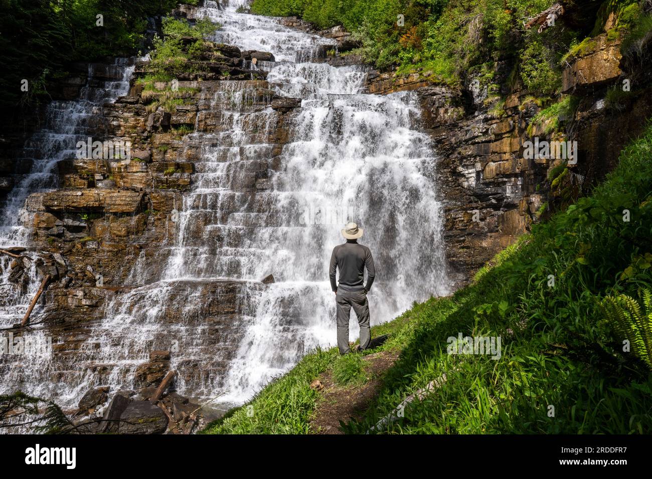 Uomo, escursionista, in piedi su un sentiero guardando una cascata su molti passi, Florence Falls, Glacier National Park, Montana Foto Stock