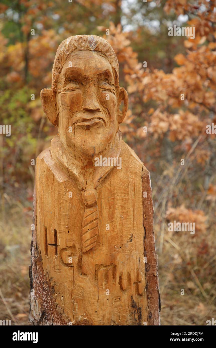 Intaglio del legno sul tronco dell'albero nella foresta con l'iscrizione Helmut, Michelsberg, Münnerstadt, Rhön, bassa Franconia, Franconia, Baviera, Germania Foto Stock