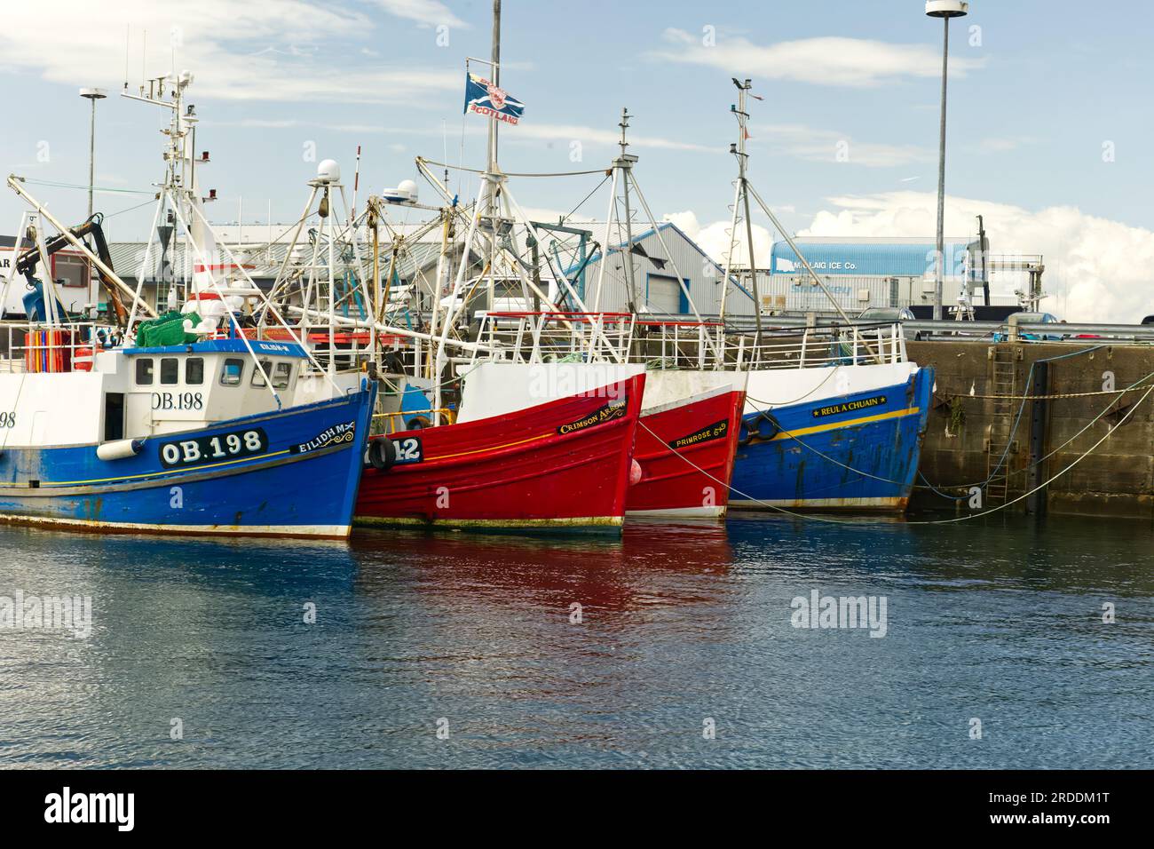 Barche da pesca nel porto di Mallaig Foto Stock