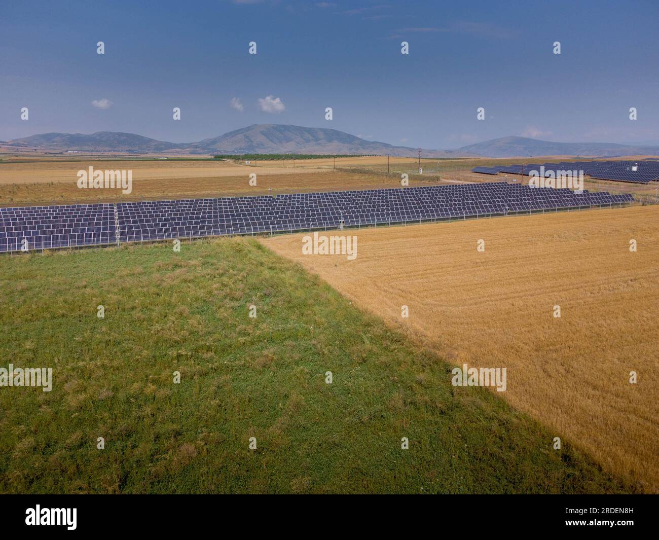 Pannelli solari da fonti di energia rinnovabile o pannelli fotovoltaici nei campi della pianura di Tessalys , Grecia. Foto Stock