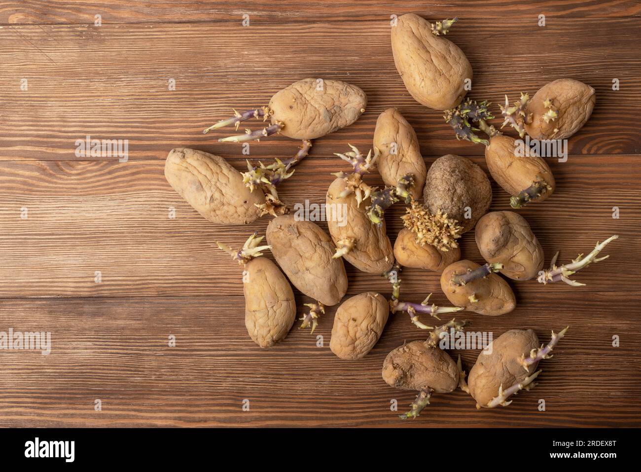 Set di patate con germogli su un tavolo di legno. Patate germogliate. I germogli fanno parte del naturale processo di crescita delle patate Foto Stock