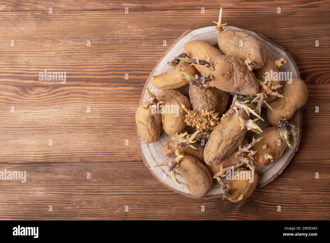 Set di patate con germogli su un tavolo di legno. Patate germogliate. I germogli fanno parte del naturale processo di crescita delle patate Foto Stock