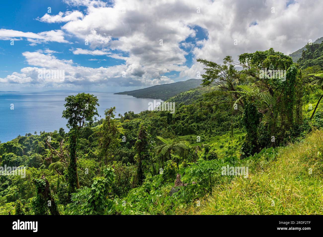 Si affaccia sulla costa di Taveuni, Figi, Pacifico meridionale Foto Stock