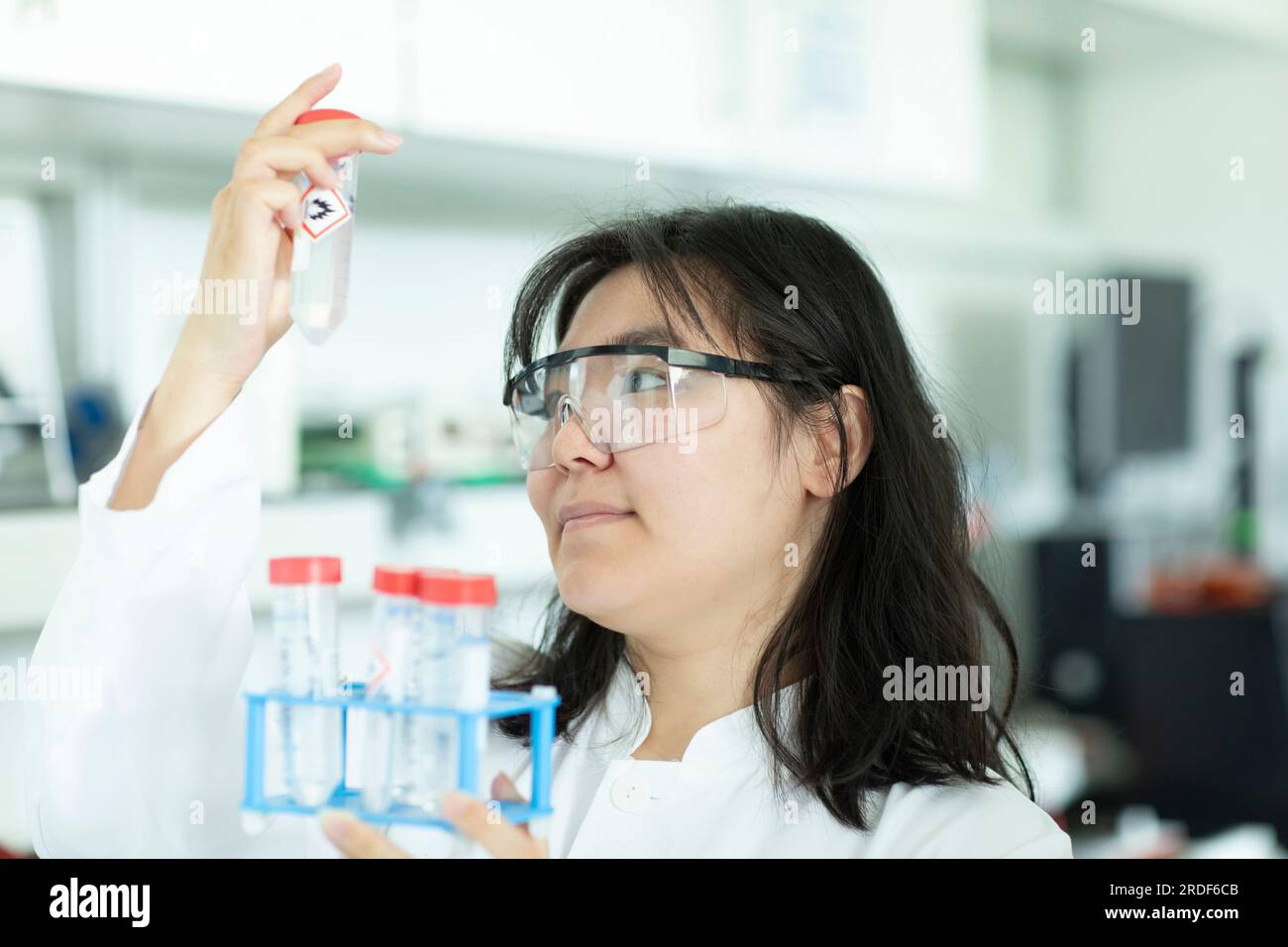 giovane scienziata donna che controlla una provetta di un rack Foto Stock