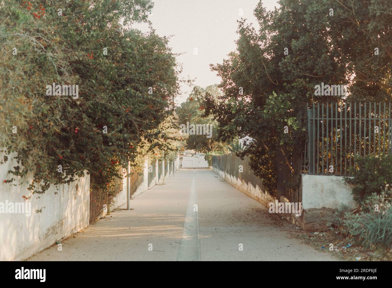 Un vialetto di cemento conduce ad una strada al tramonto. Foto Stock