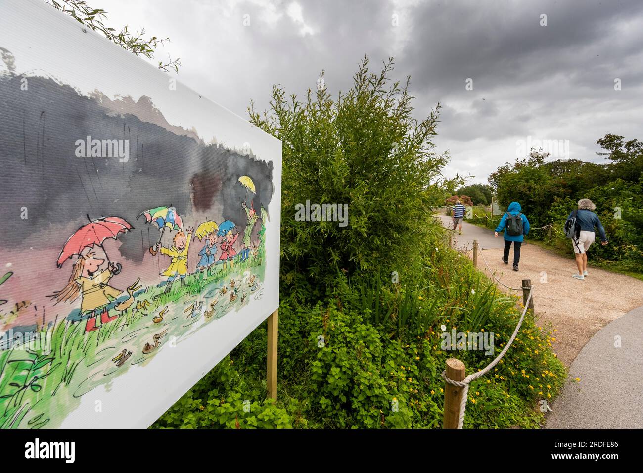 Mostra "Drawn to Water" di Quentin Blake al WWT Slimbridge. Foto Stock