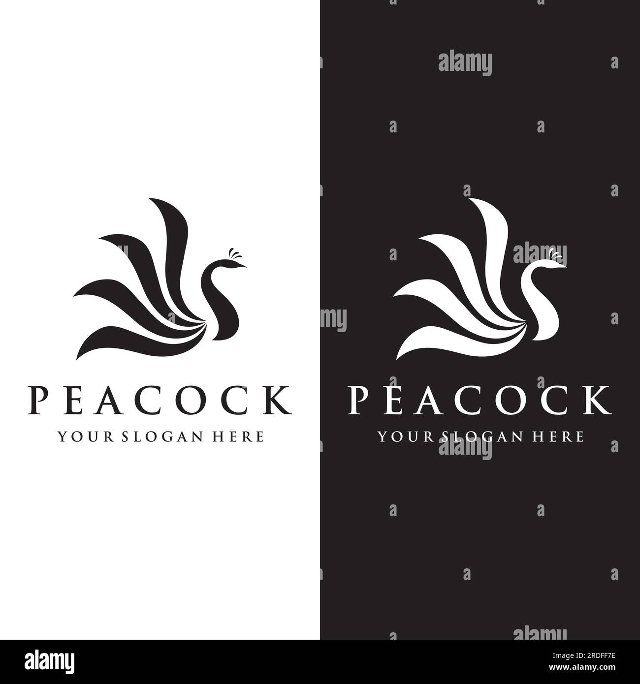 Design creativo del logo di uccello pavone e piume pavone - illustrazione vettoriale. Illustrazione Vettoriale