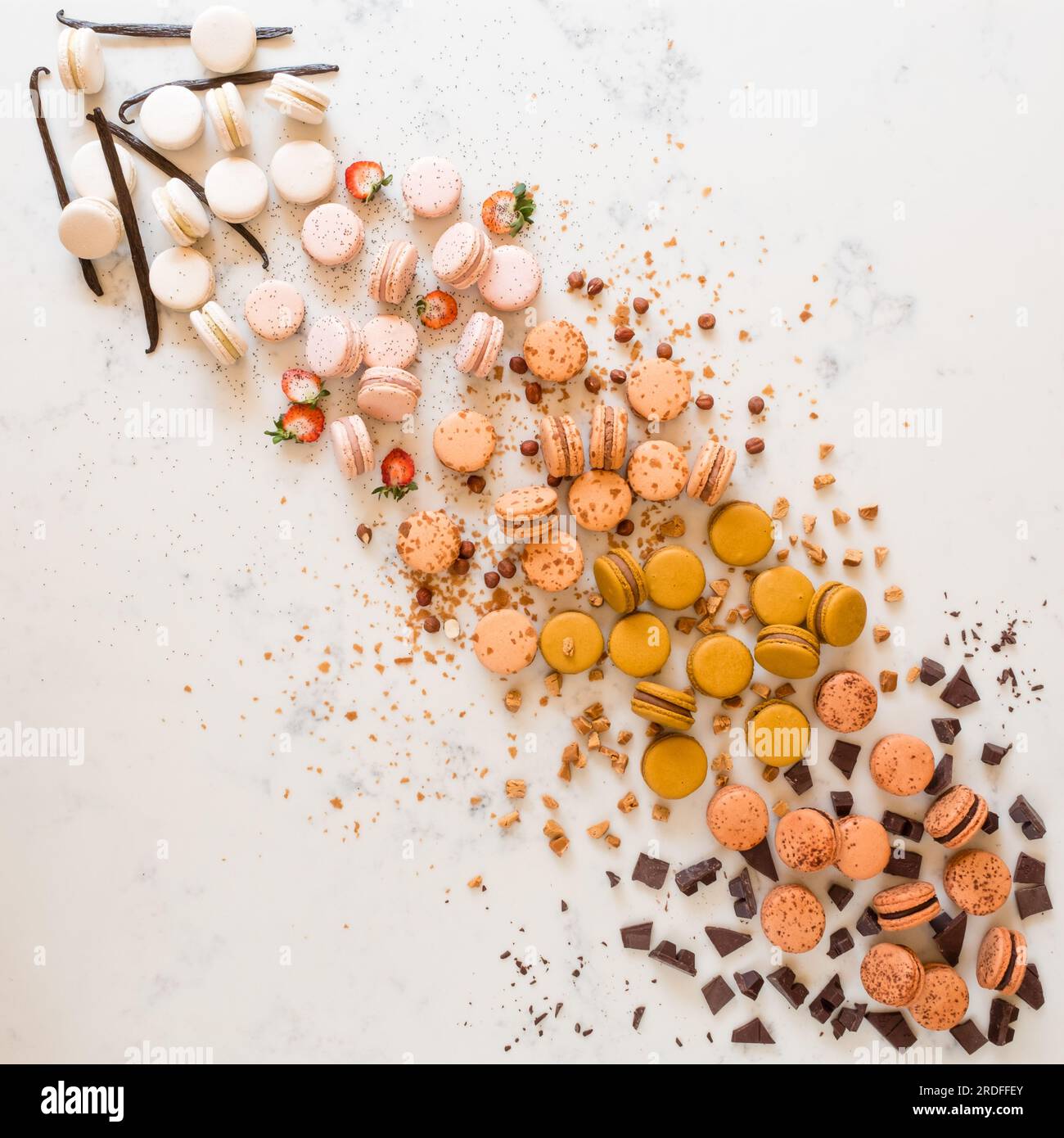 Macaron e tartarughe Foto Stock