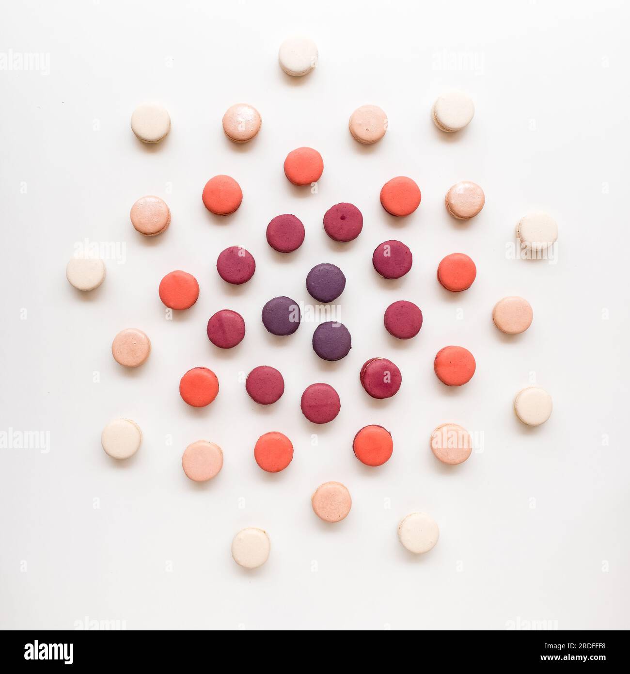 Macaron e tartarughe Foto Stock
