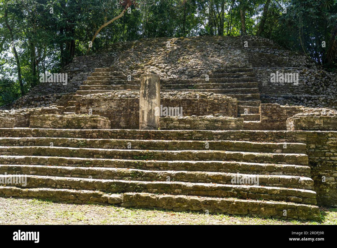 Stela 9 sul Tempio N10-27, una rovina piramidale maya parzialmente restaurata nella riserva archeologica di Lamanai, Belize. Foto Stock