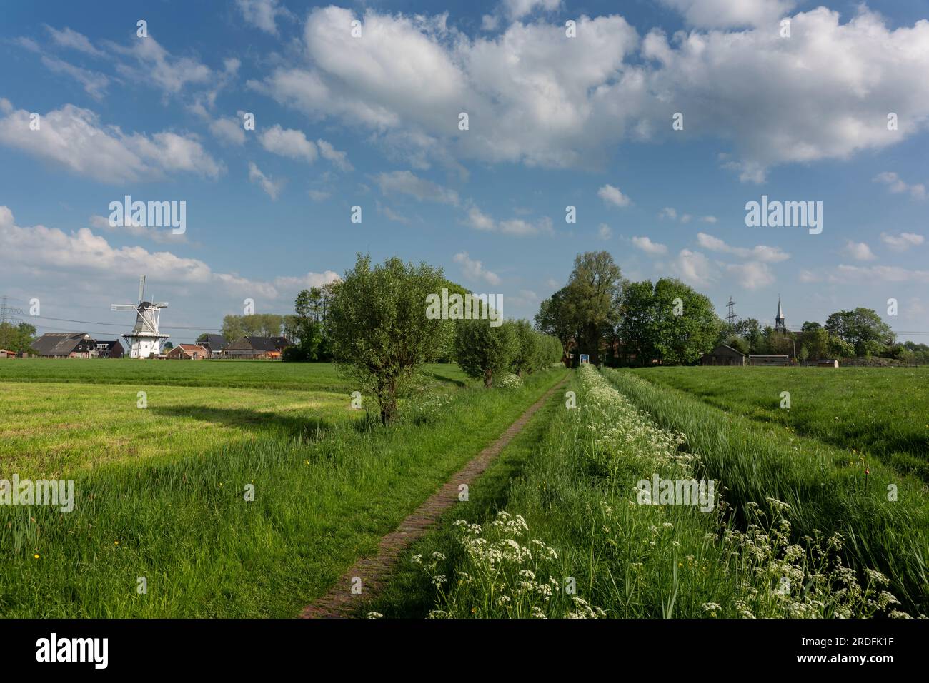 Un sentiero tra i prati circondati da polvere fischiante corre da Groot- a Klein Wetsinge, due villaggi nel comune di Het Hogeland Foto Stock