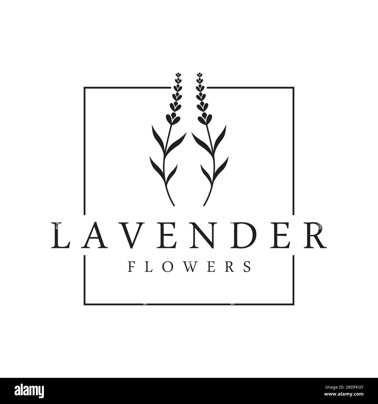 Disegno con logo di fiori di lavanda organici disegnati a mano. Logo per cosmetici, bellezza, tè, olio, erbe. Illustrazione Vettoriale