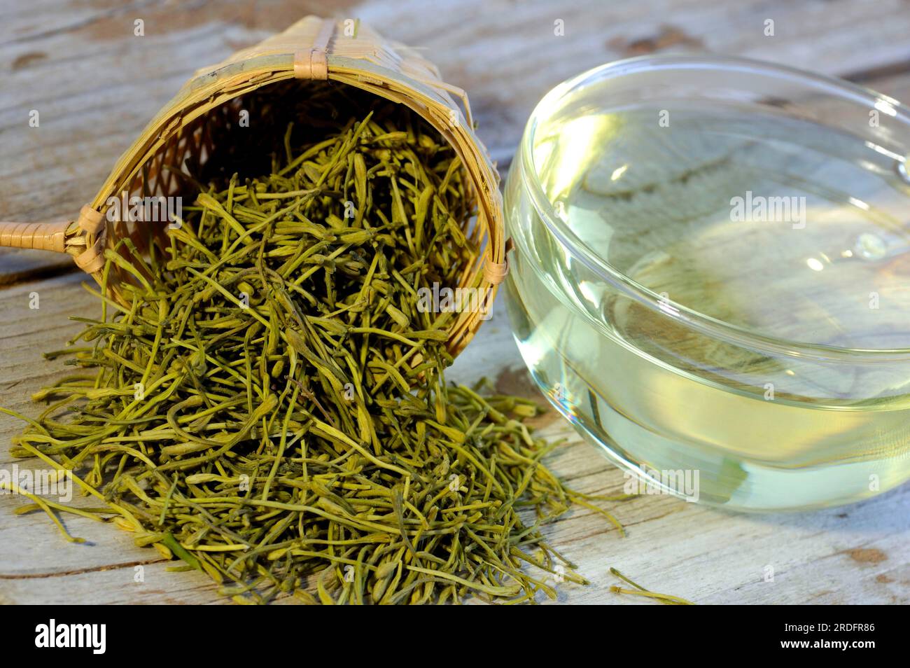 Tazza di tè Jin Yin Hua (Lonicera caprifolium) (Lonicera japonica), foglia di capra, Jinyinhua Foto Stock