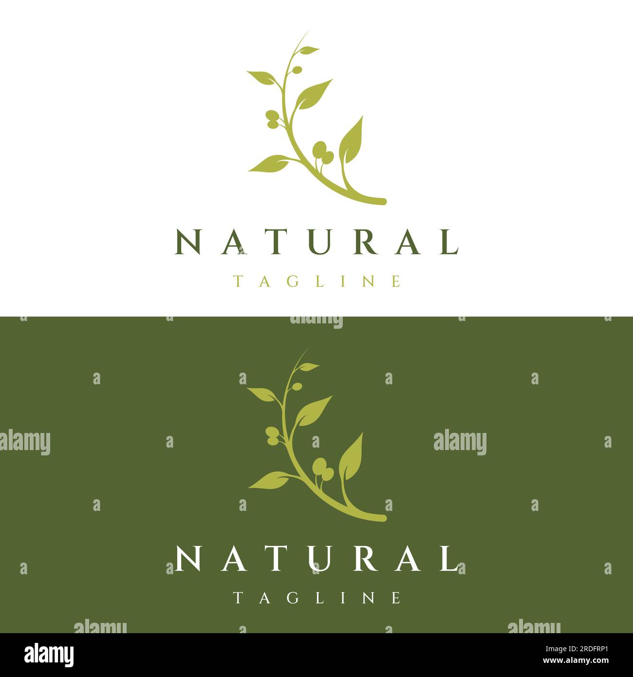 Logo naturale di oliva a base di erbe e olio con rametto di oliva. Logo per aziende, marchi, erboristeria e spa. Illustrazione Vettoriale