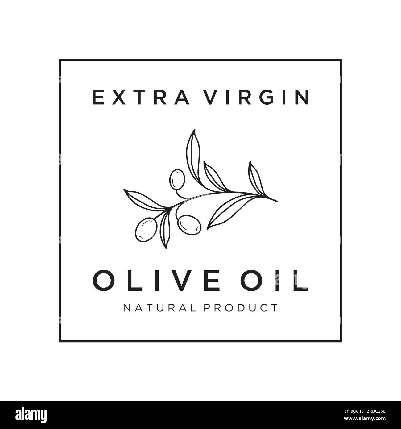 Logo botanico disegnato a mano, foglie e frutti di oliva naturali. Erbe, olio d'oliva, cosmetici o bellezza. Illustrazione Vettoriale