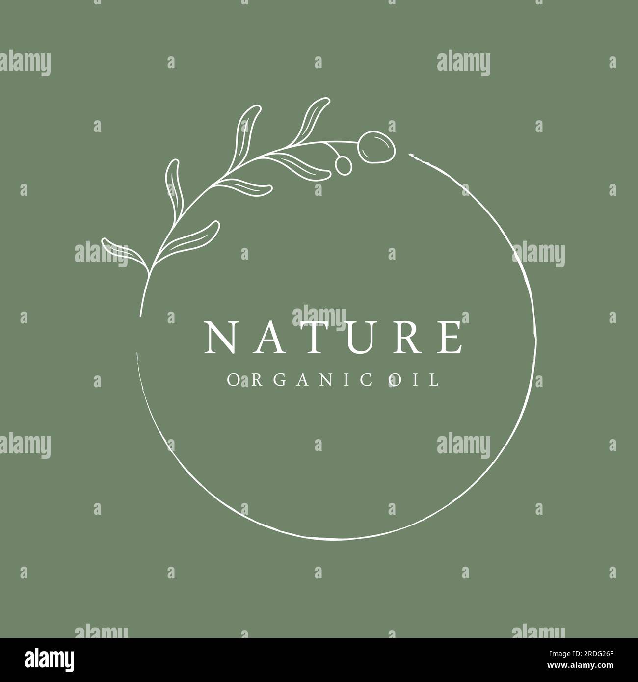 Logo botanico disegnato a mano, foglie e frutti di oliva naturali. Erbe, olio d'oliva, cosmetici o bellezza. Illustrazione Vettoriale