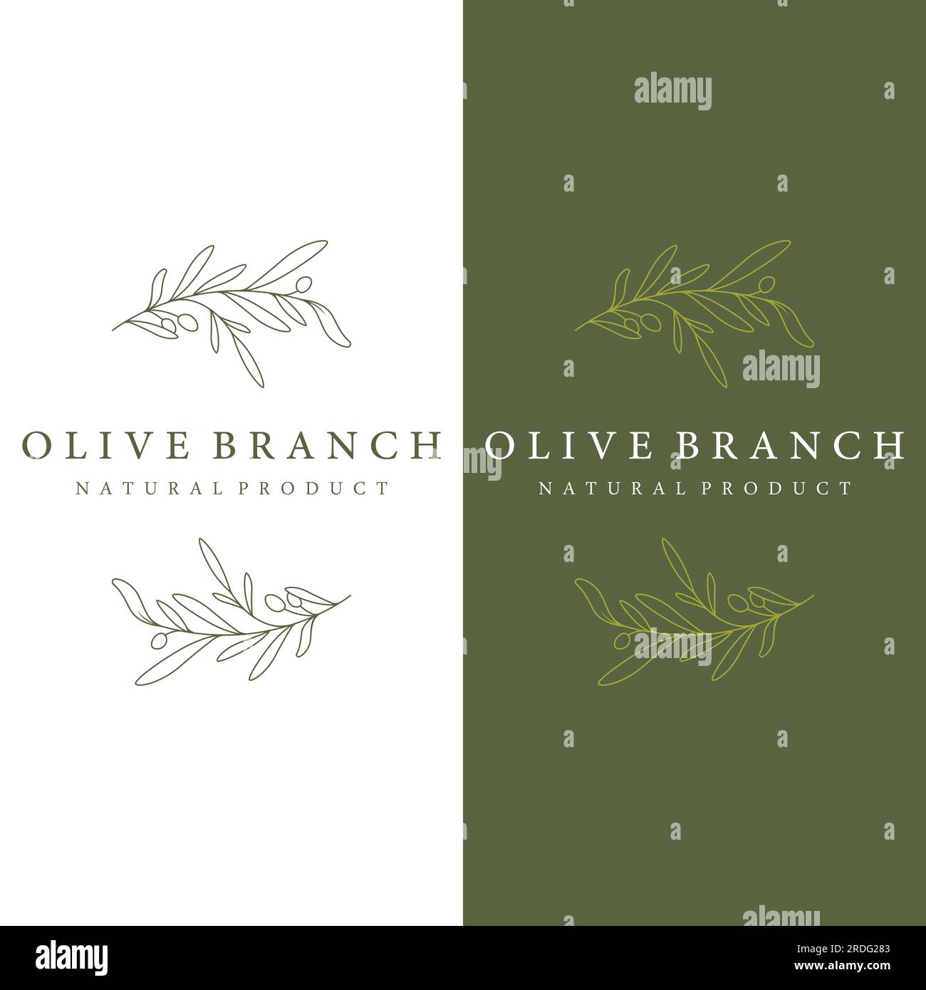 Logo botanico disegnato a mano, foglie e frutti di oliva naturali. Erbe, olio d'oliva, cosmetici o bellezza. Illustrazione Vettoriale