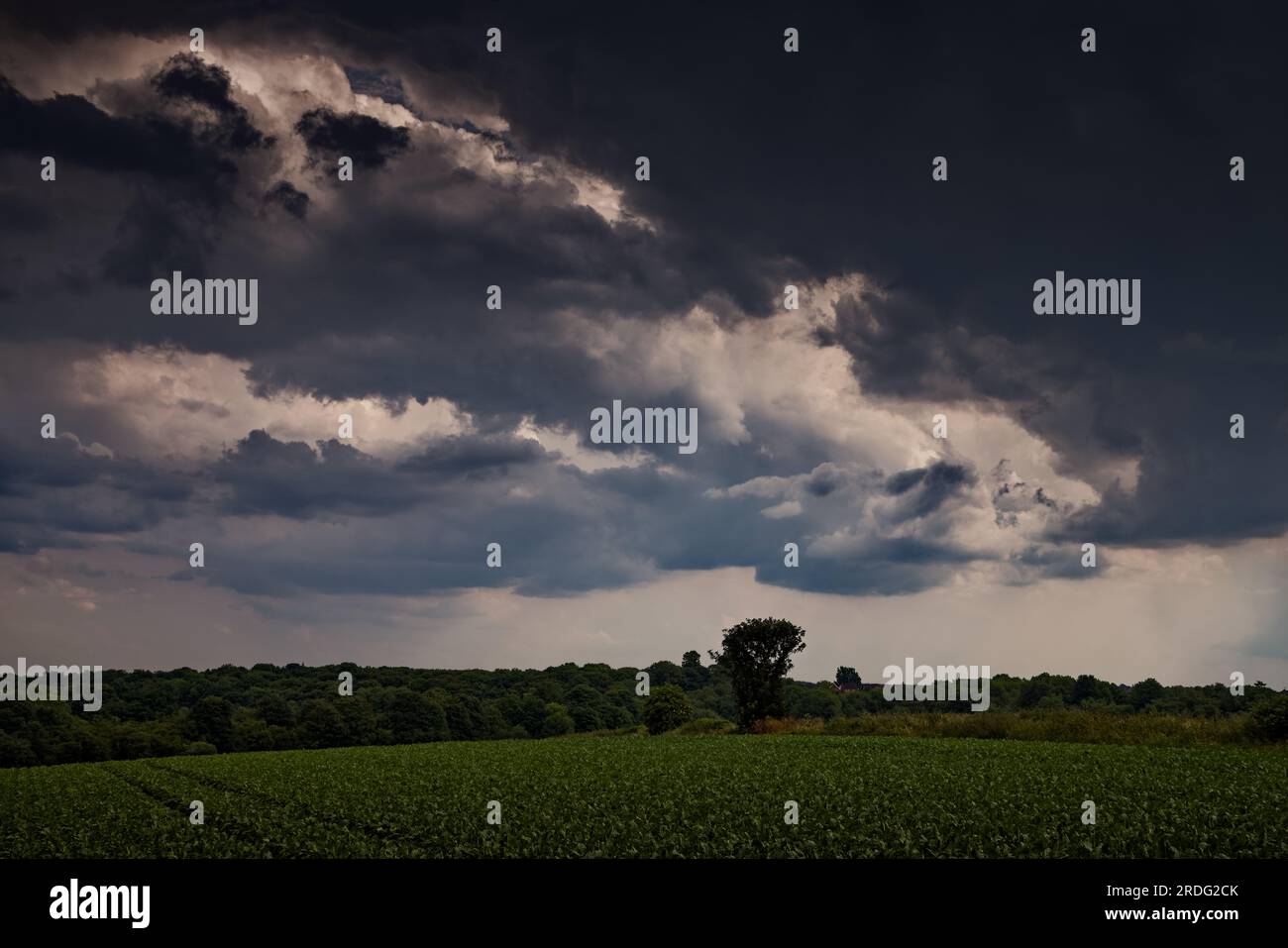 Estate nuvole di tempesta Foto Stock