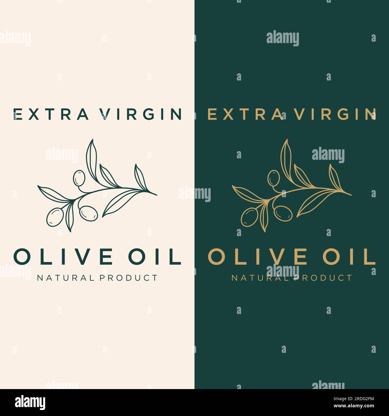 Logo botanico disegnato a mano, foglie e frutti di oliva naturali. Erbe, olio d'oliva, cosmetici o bellezza. Illustrazione Vettoriale